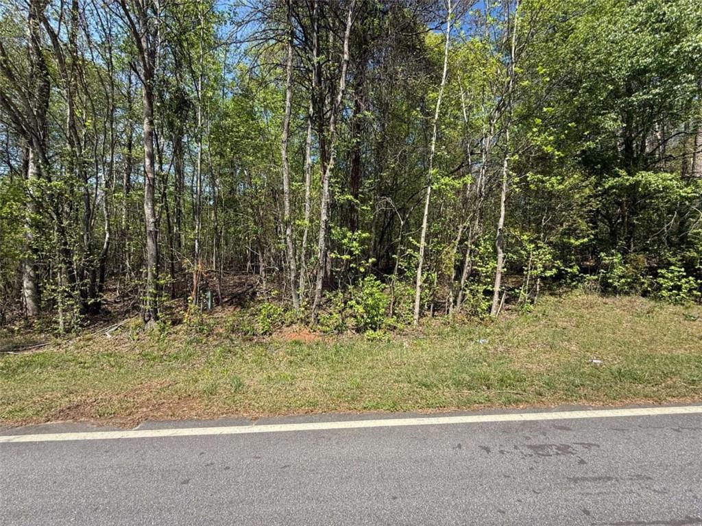 0 Panhandler Circle Maysville, GA 30558 - Photo 2 of 5 a view of a yard with a trees