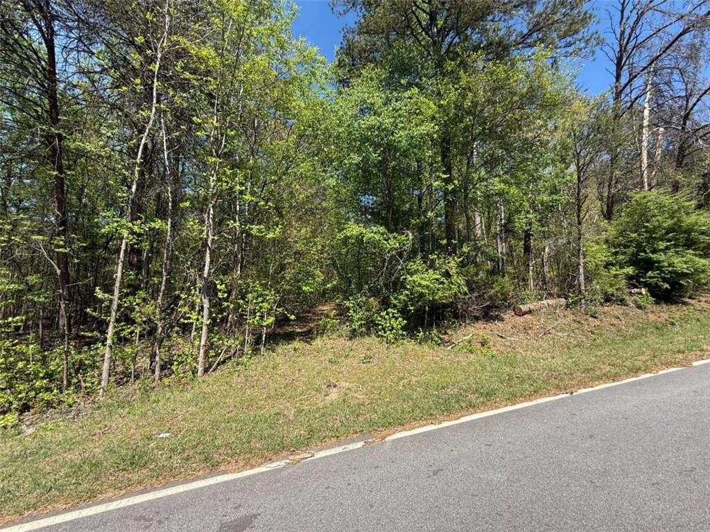0 Panhandler Circle Maysville, GA 30558 - Photo 3 of 5 a view of a yard with plants and trees