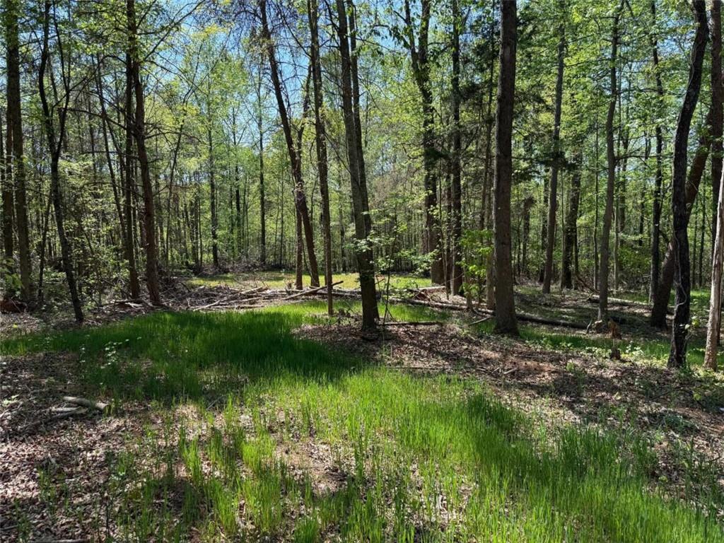 0 Panhandler Circle Maysville, GA 30558 - Photo 4 of 5 a view of park