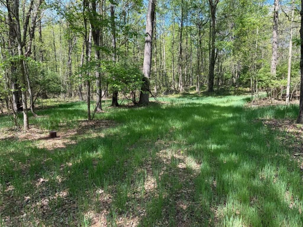 0 Panhandler Circle Maysville, GA 30558 - Photo 5 of 5 a view of outdoor space and yard