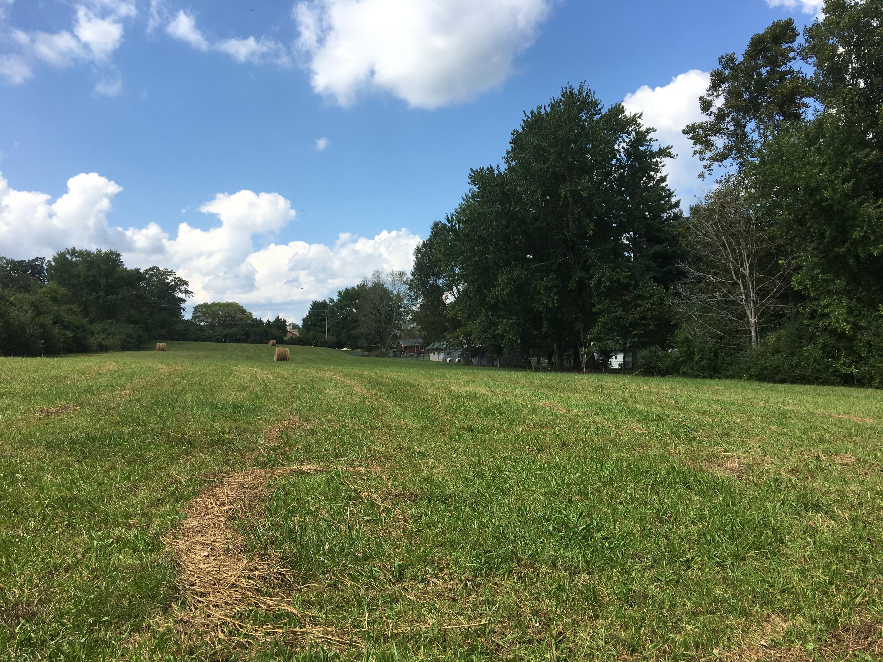 Lot 1 Alley Road Andersonville, TN 37705 - Photo 5 of 7 IMG_7814