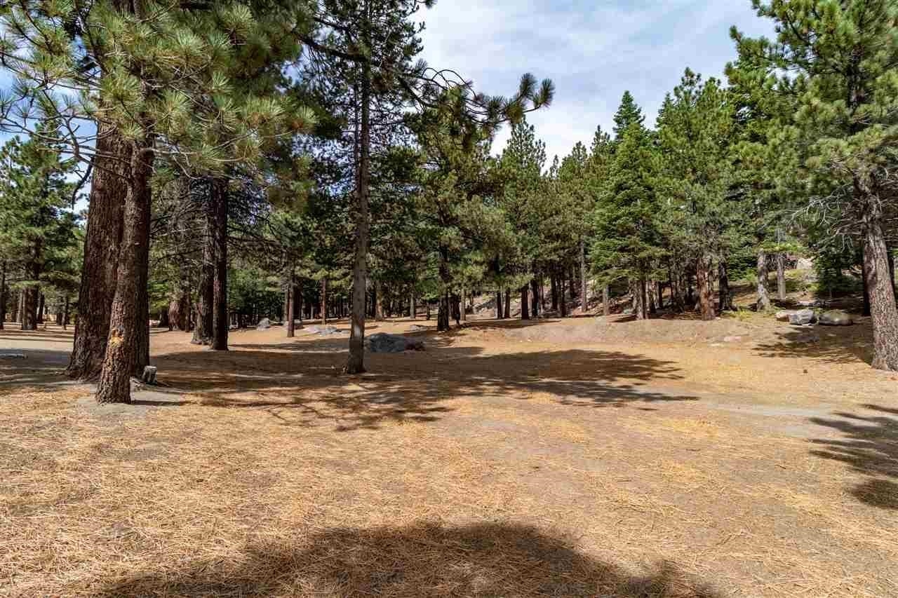 5699 Minaret Road Mammoth Lakes, CA 93546 - Photo 11 of 29 Gallery Image 11