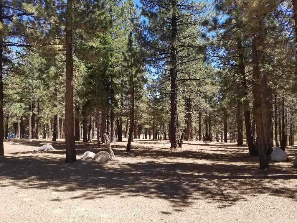 5699 Minaret Road Mammoth Lakes, CA 93546 - Photo 10 of 29 Gallery Image 10
