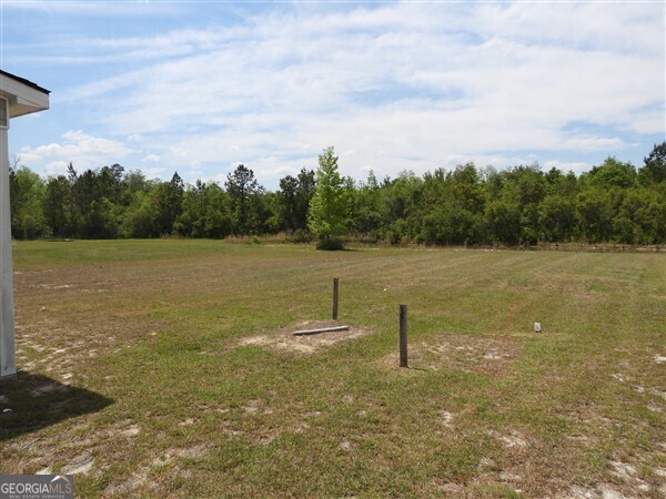 5915 Rye Patch Road Ludowici, GA 31316 - Photo 18 of 25 a view of a lake with a big yard