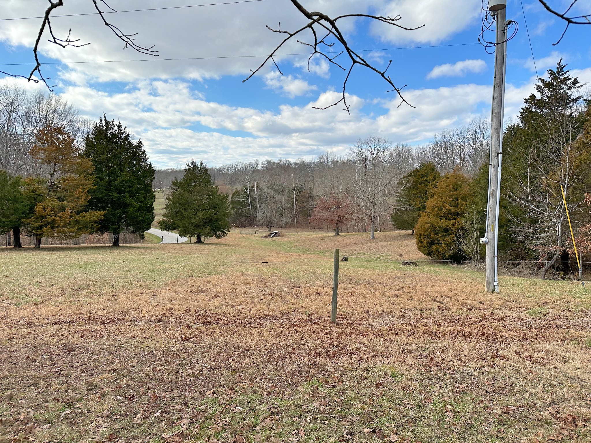 1815 Broome Road Palmyra, TN 37142 - Photo 42 of 61 a backyard of a house with lots of green space