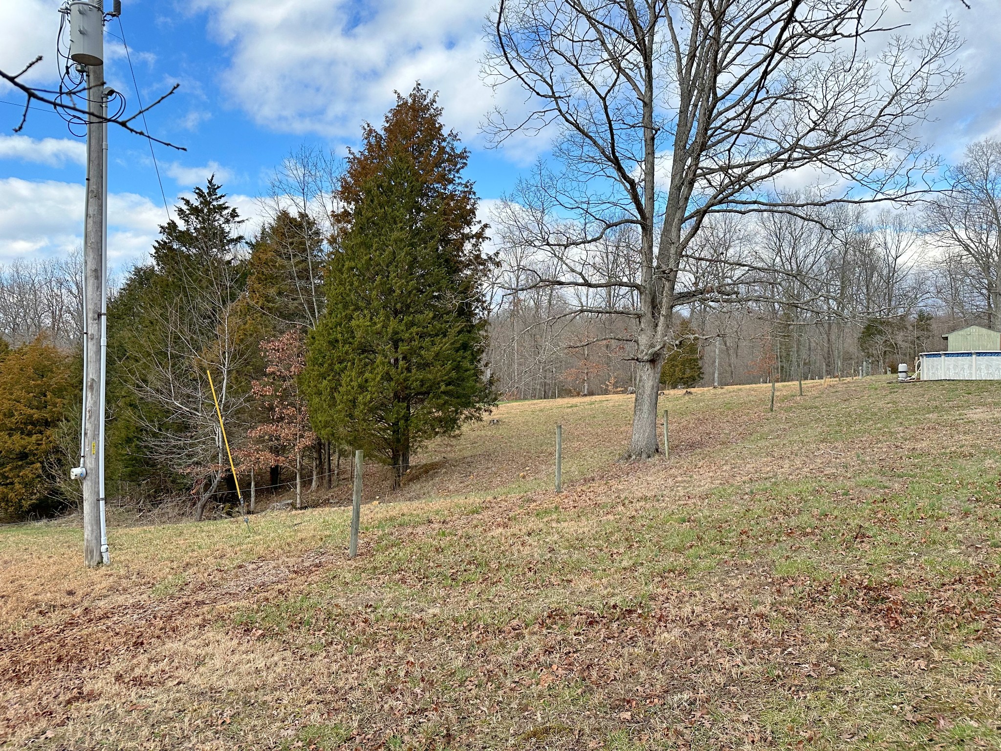 1815 Broome Road Palmyra, TN 37142 - Photo 44 of 61 a backyard of a house with lots of green space