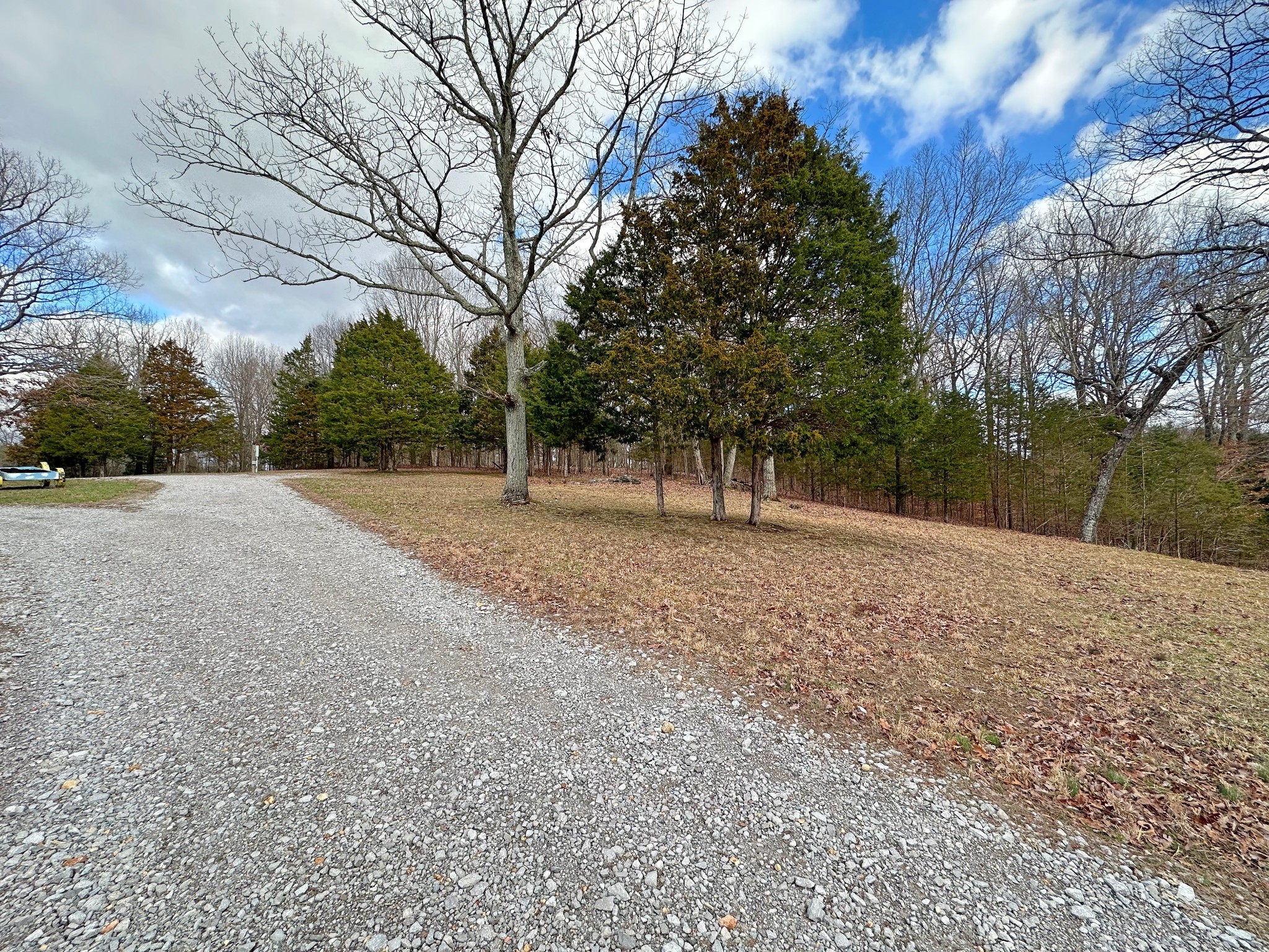 1815 Broome Road Palmyra, TN 37142 - Photo 45 of 61 a view of outdoor space with trees