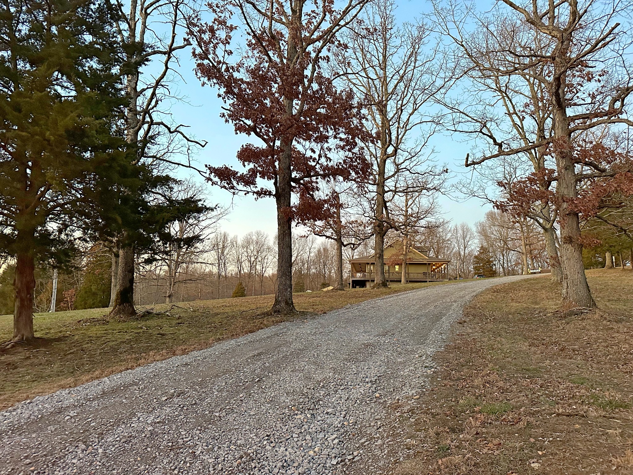 1815 Broome Road Palmyra, TN 37142 - Photo 51 of 61 a view of dirt yard with a tree