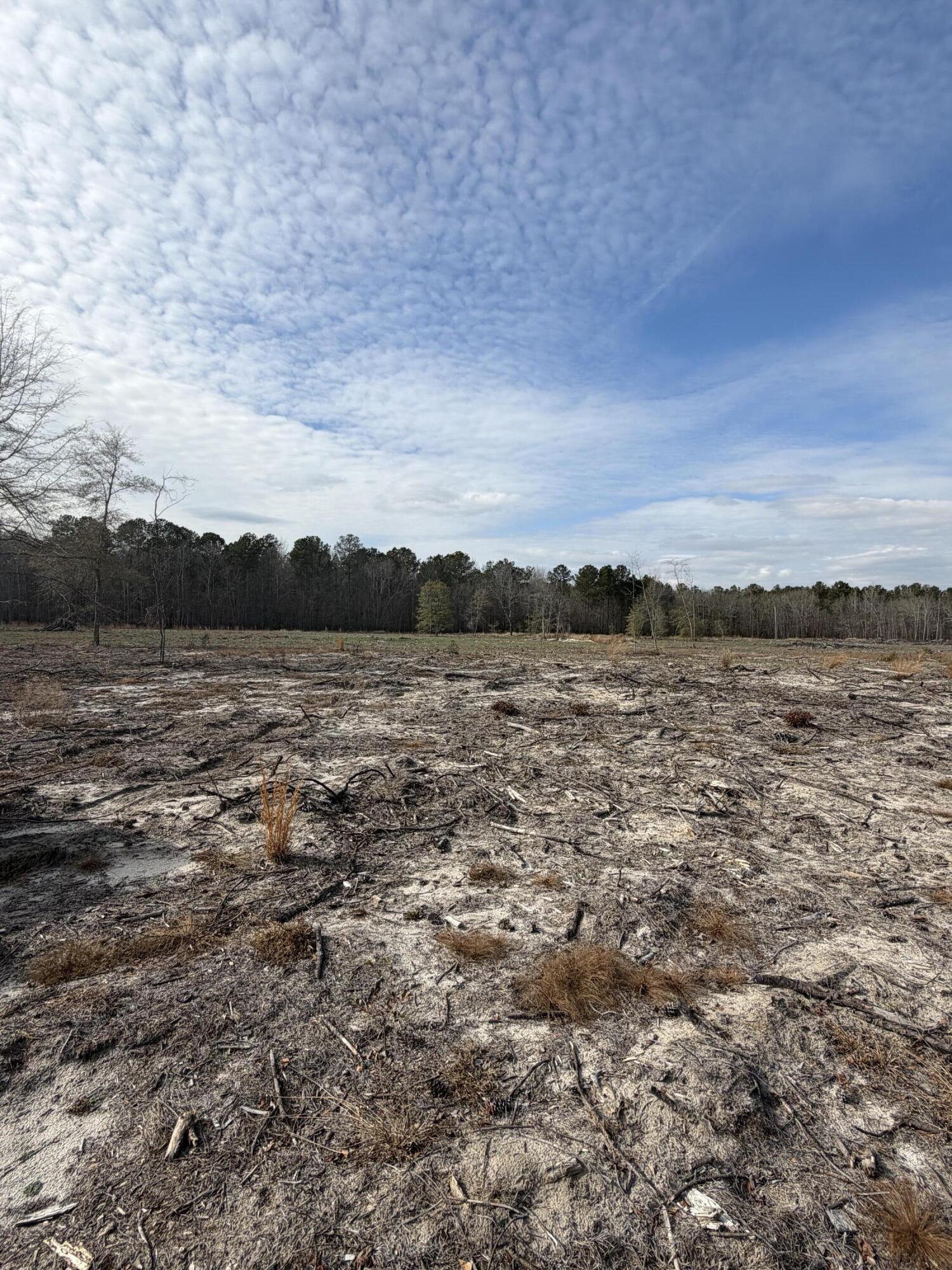 20.33 R And B Road Barnwell, SC 29812 - Photo 1 of 11