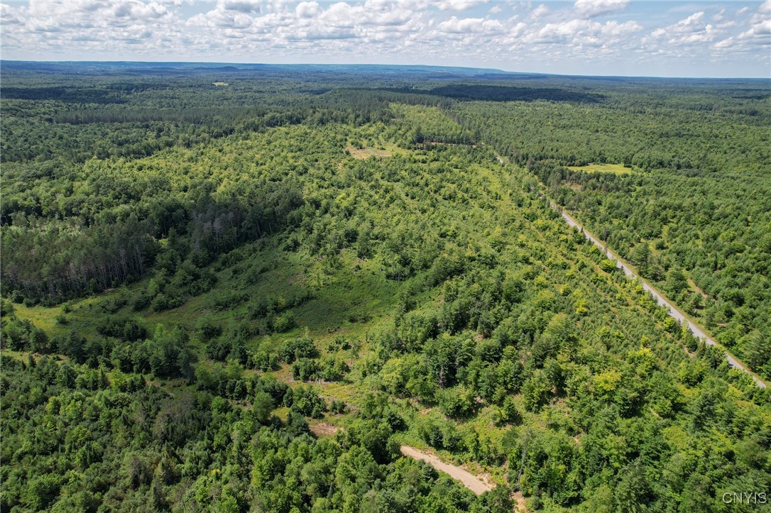 910 River Road Boonville, NY 13309 - Photo 17 of 50