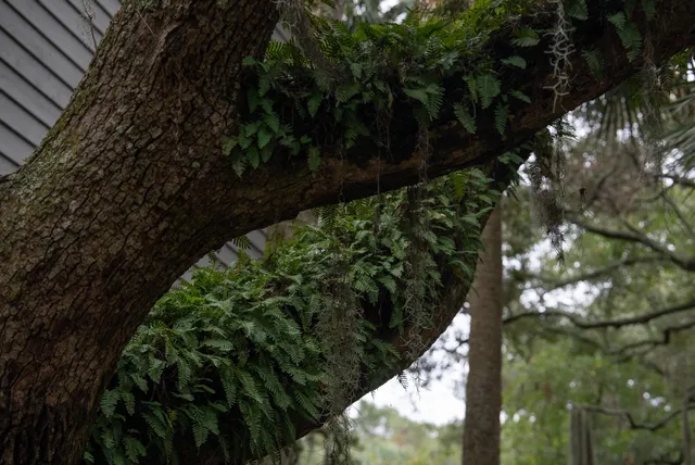 $379,500 | 601 Double Eagle Trace, Seabrook Island, SC 29455