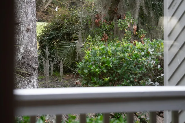 $379,500 | 601 Double Eagle Trace, Seabrook Island, SC 29455