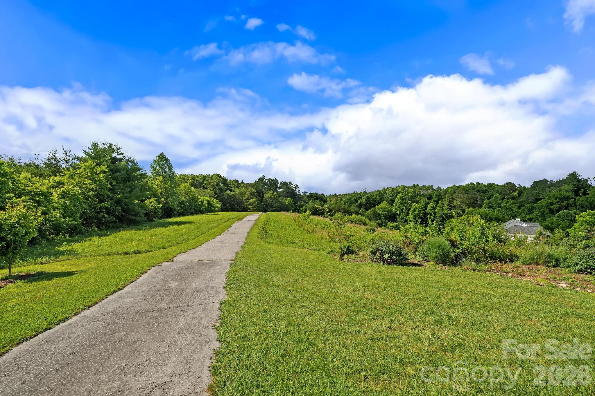 72 Ed Debruhl Road Alexander, NC 28701 - Photo 3 of 25
