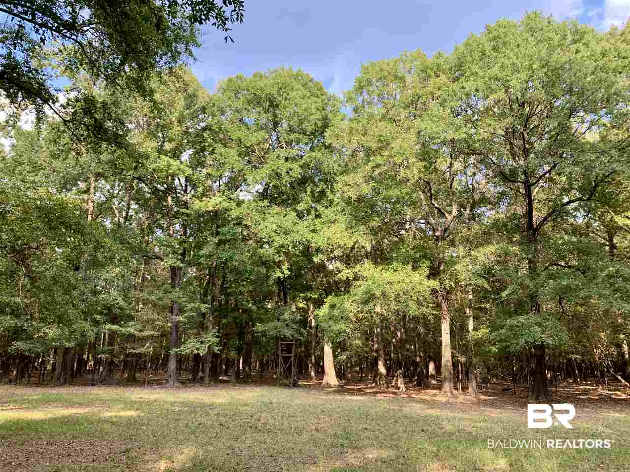 0 Holly Creek Road Stockton, AL 36579 - Photo 34 of 50