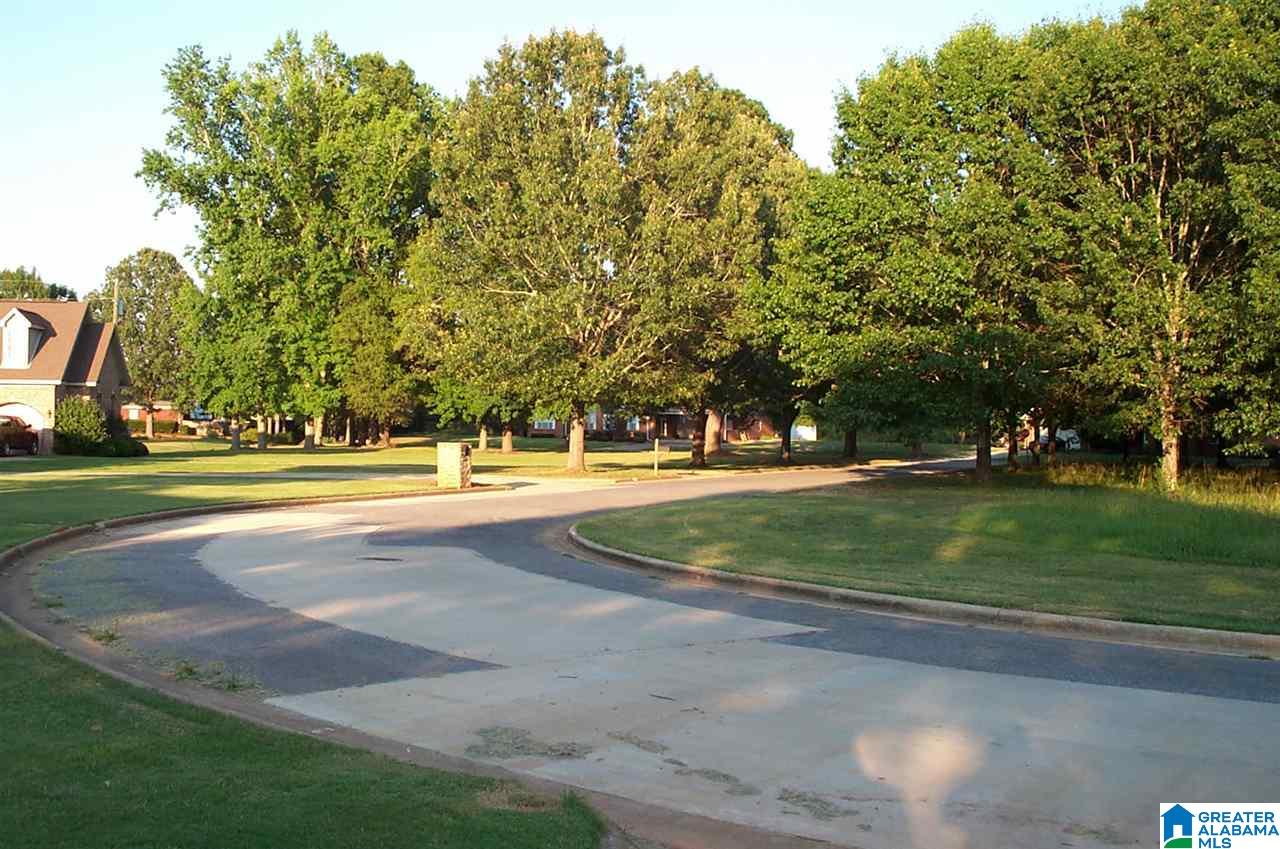 1910 Pleasant Ridge Circle Sylacauga, AL 35150 - Photo 5 of 42