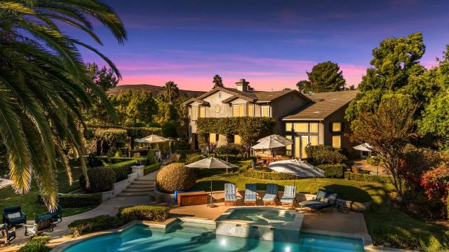 a picture of a tree with a plant