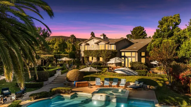 a picture of a tree with a plant