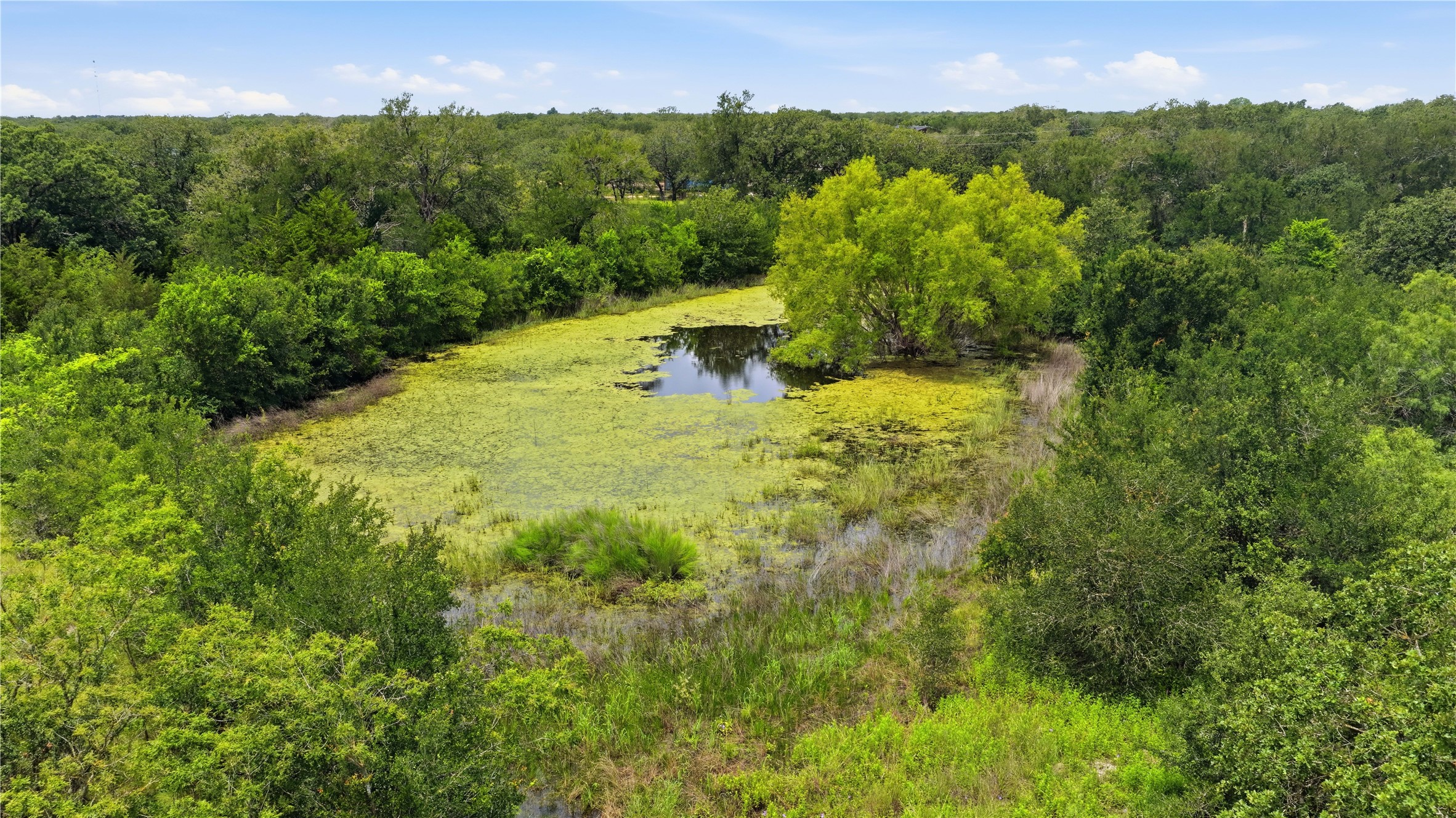 10312 Parsons Road Manor, TX 78653 - Photo 18 of 26 A tranquil pond nestled amidst a lush, verdant landscape.