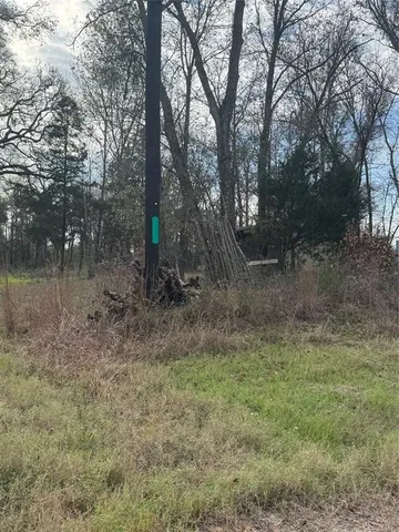 a view of outdoor space with trees all around