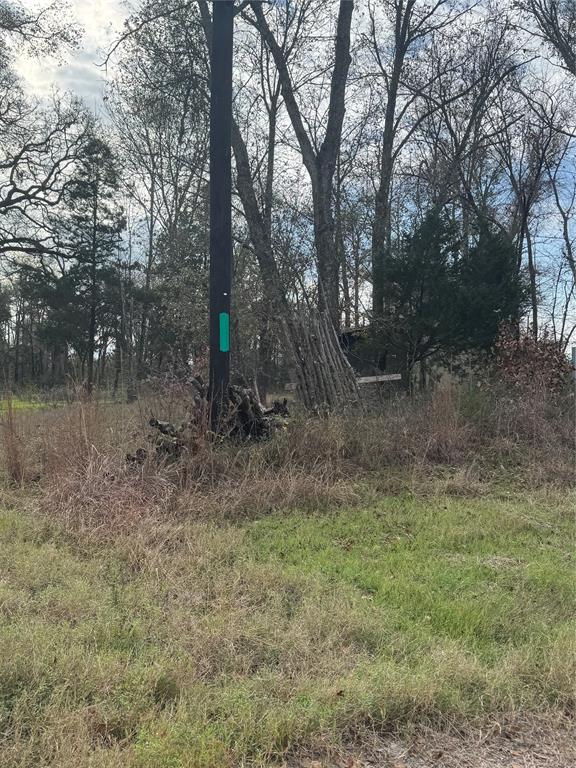 1113 Farm To Market 27 Wortham, TX 76693 - Photo 3 of 3 a view of outdoor space with trees all around