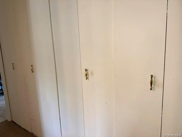 1 Lakeview Drive, Unit 40 Peekskill, NY 10566 - Photo 15 of 24 Floor to ceiling closets in the hall
