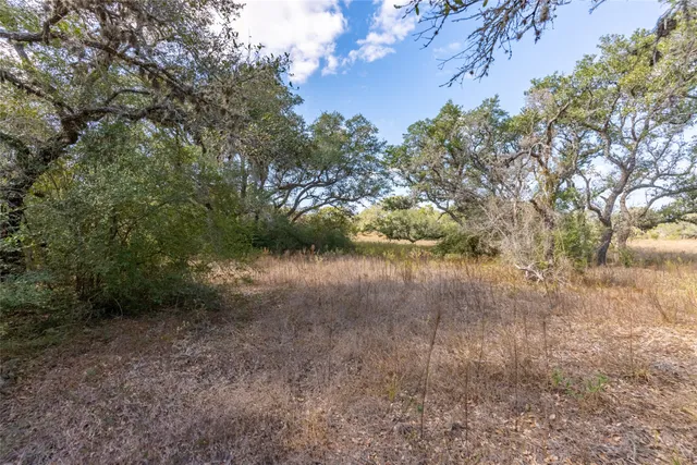 a view of a yard with a tree