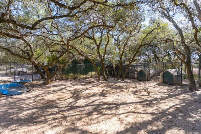a view of a yard with a tree