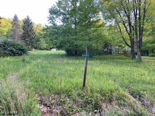 6994 Hankee Road Garrettsville, OH 44231 - Photo 2 of 5 View of yard