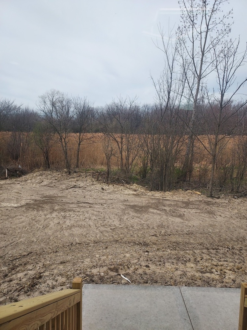 24358 Liberty Street Crete, IL 60417 - Photo 13 of 13 a backyard of a house