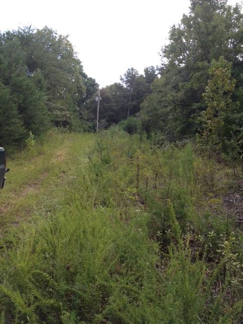 Ten Wasson Road Ten Mile, TN 37880 - Photo 1 of 2 photo 1