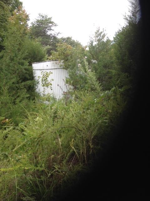 Ten Wasson Road Ten Mile, TN 37880 - Photo 2 of 2 photo 2