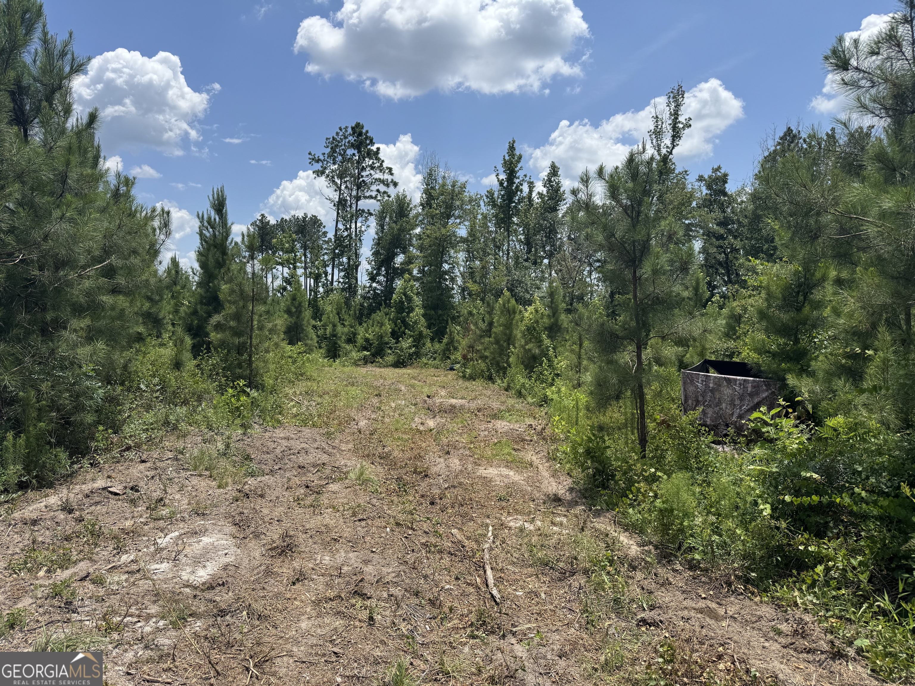 477 Keens Crossing Road East Dublin, GA 31027 - Photo 12 of 12