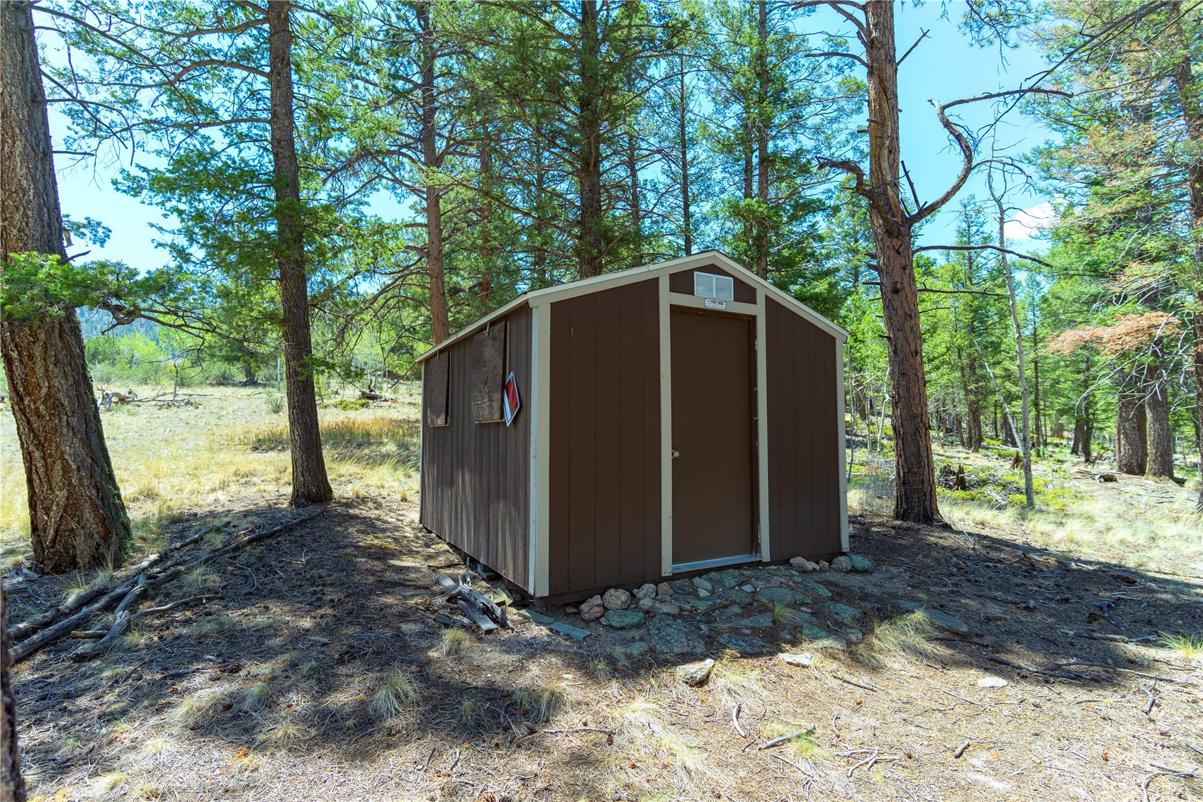 1036 Pulver Road Lake George, CO 80827 - Photo 20 of 27
