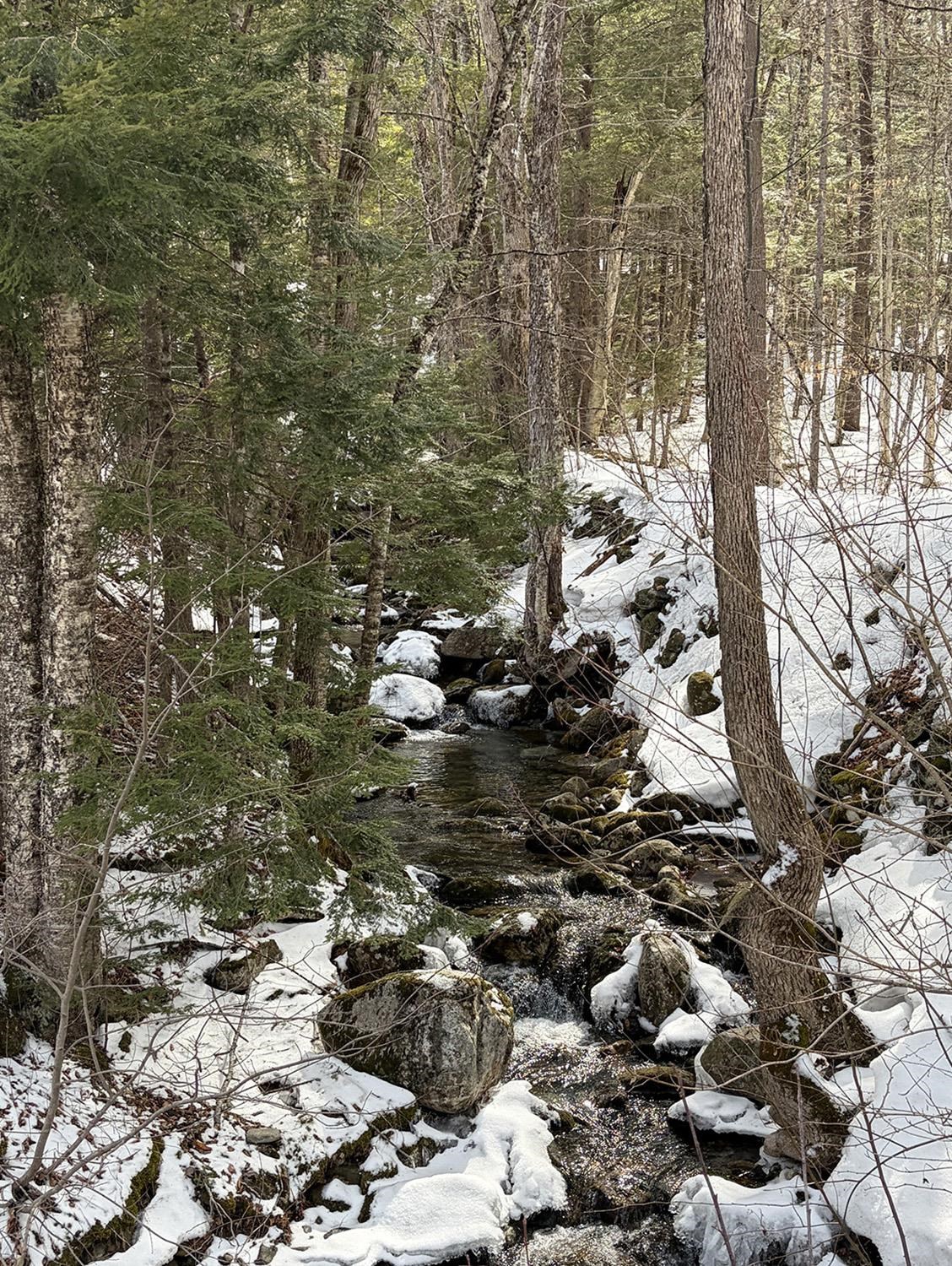 0 Hodgdon Road Alexandria, NH 03222 - Photo 11 of 12