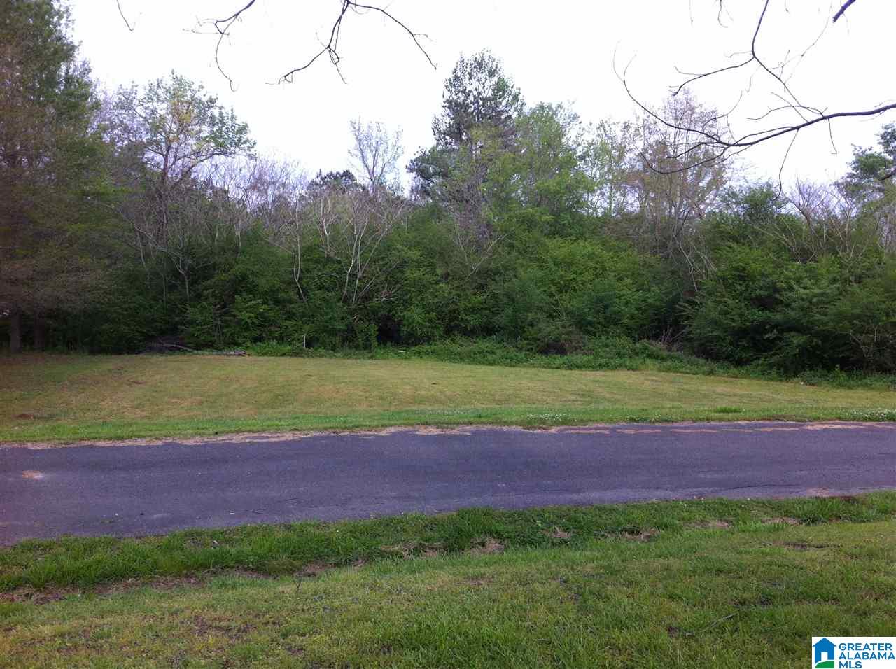 9221 Bill Jones Road Kimberly, AL 35091 - Photo 7 of 10