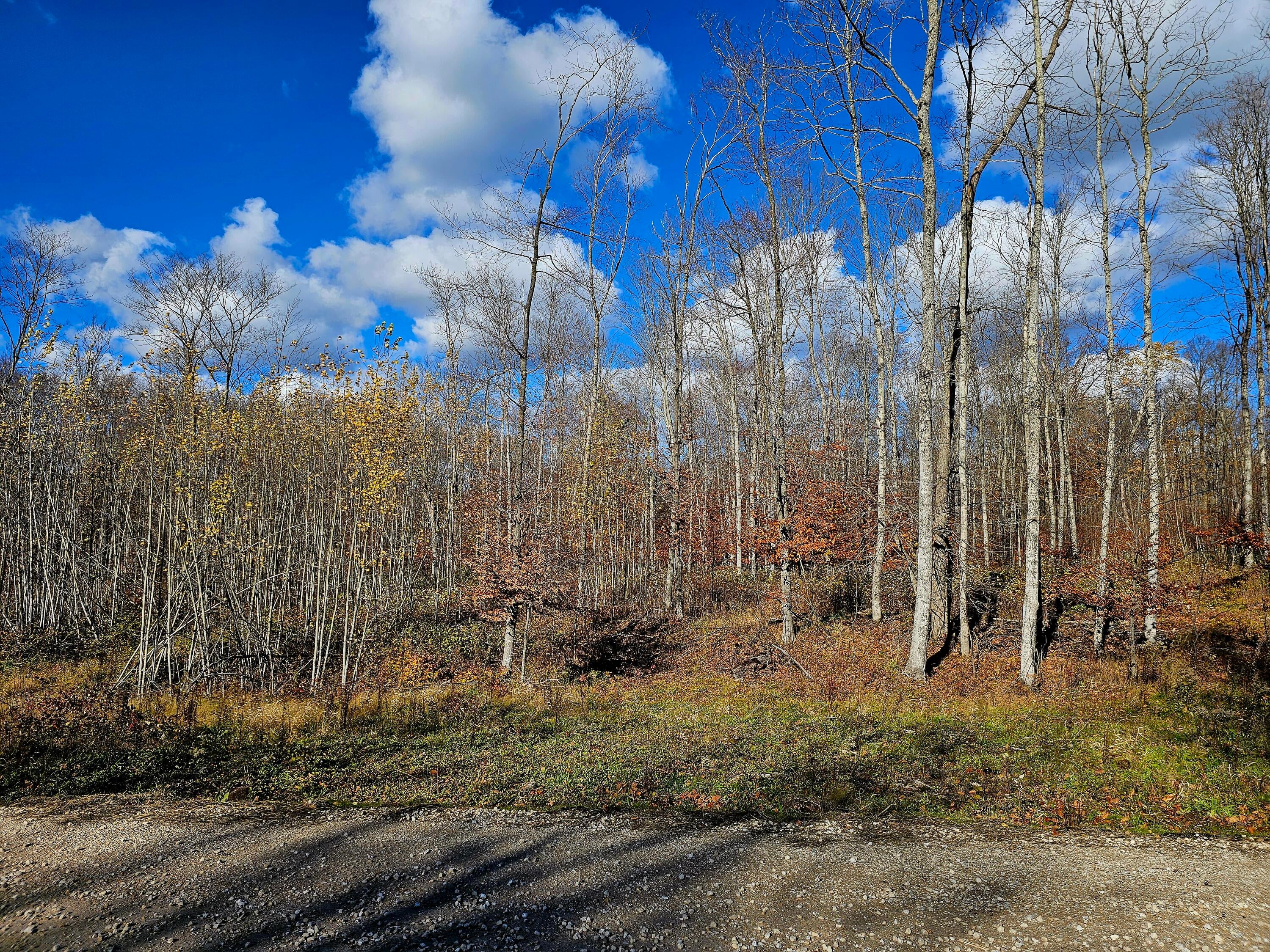 Parcel C Parcel C North Road Curtis, MI 49820 - Photo 1 of 10 Gallery Image 1