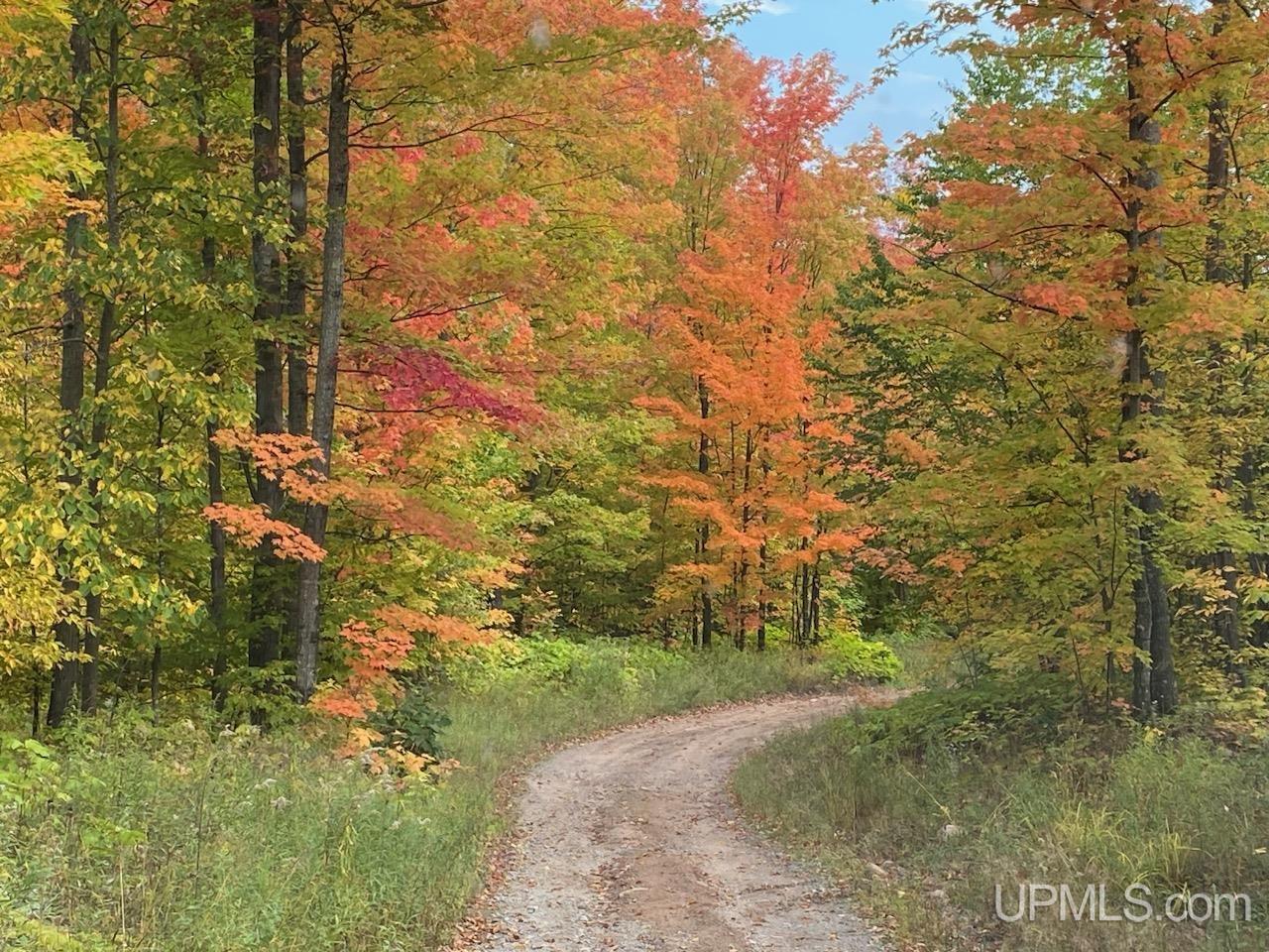 Tbd Tbd Garlic Mountain Road Negaunee, MI 49866 - Photo 51 of 61