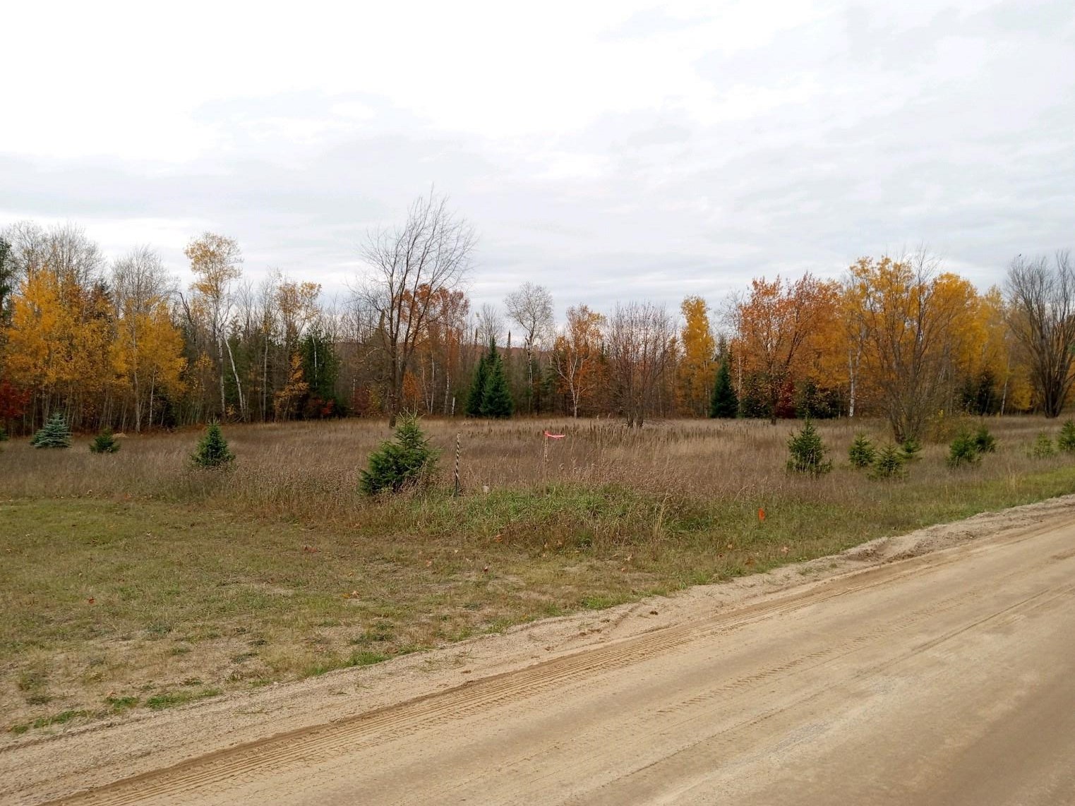 0 Bennett Road, Unit PARCEL B1 Williamsburg, MI 49690 - Photo 2 of 7