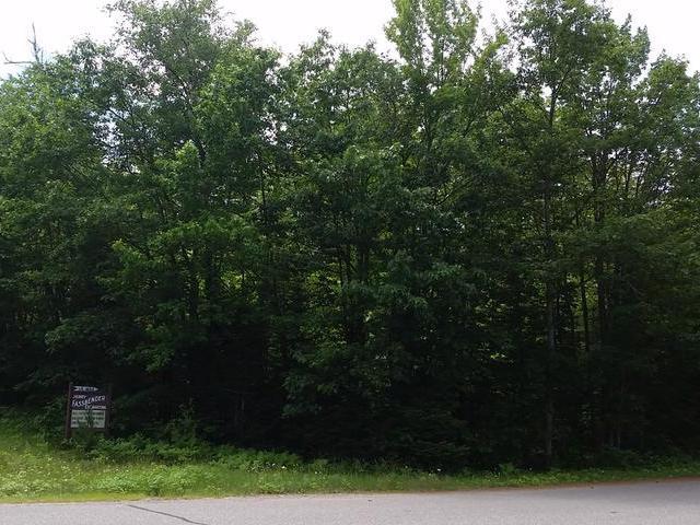 6444 Forest Lake Road Land O'Lakes, WI 54540 - Photo 2 of 5 Gallery Image 2