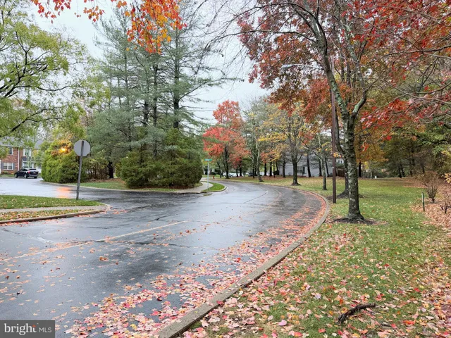 a view of a park with large trees