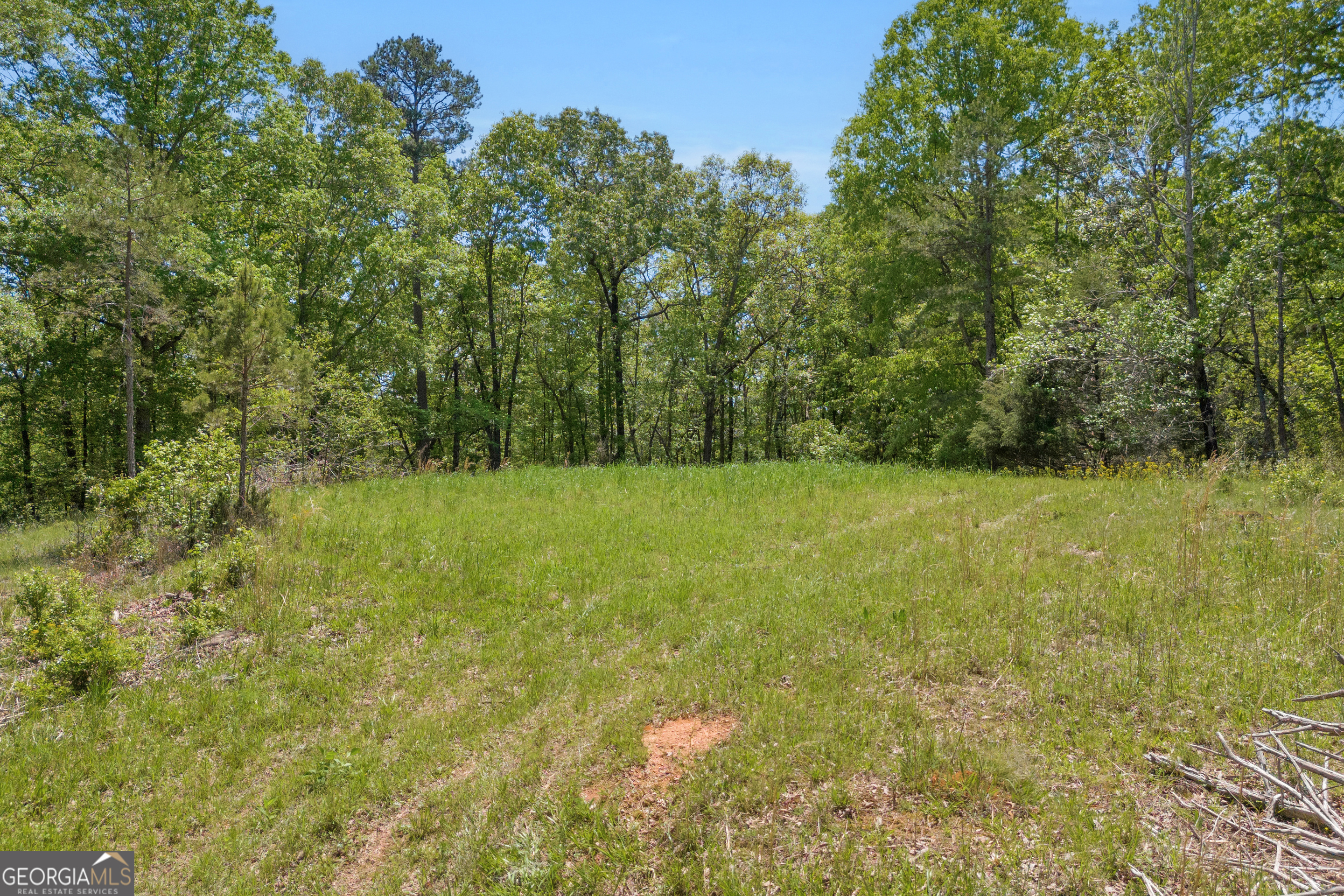 1745 Hannah Creek Church Road Royston, GA 30662 - Photo 11 of 60