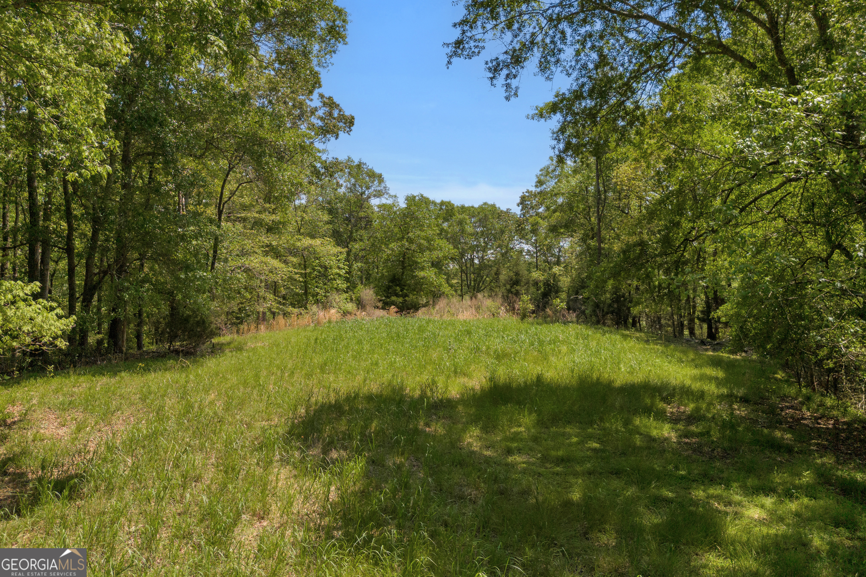 1745 Hannah Creek Church Road Royston, GA 30662 - Photo 12 of 60