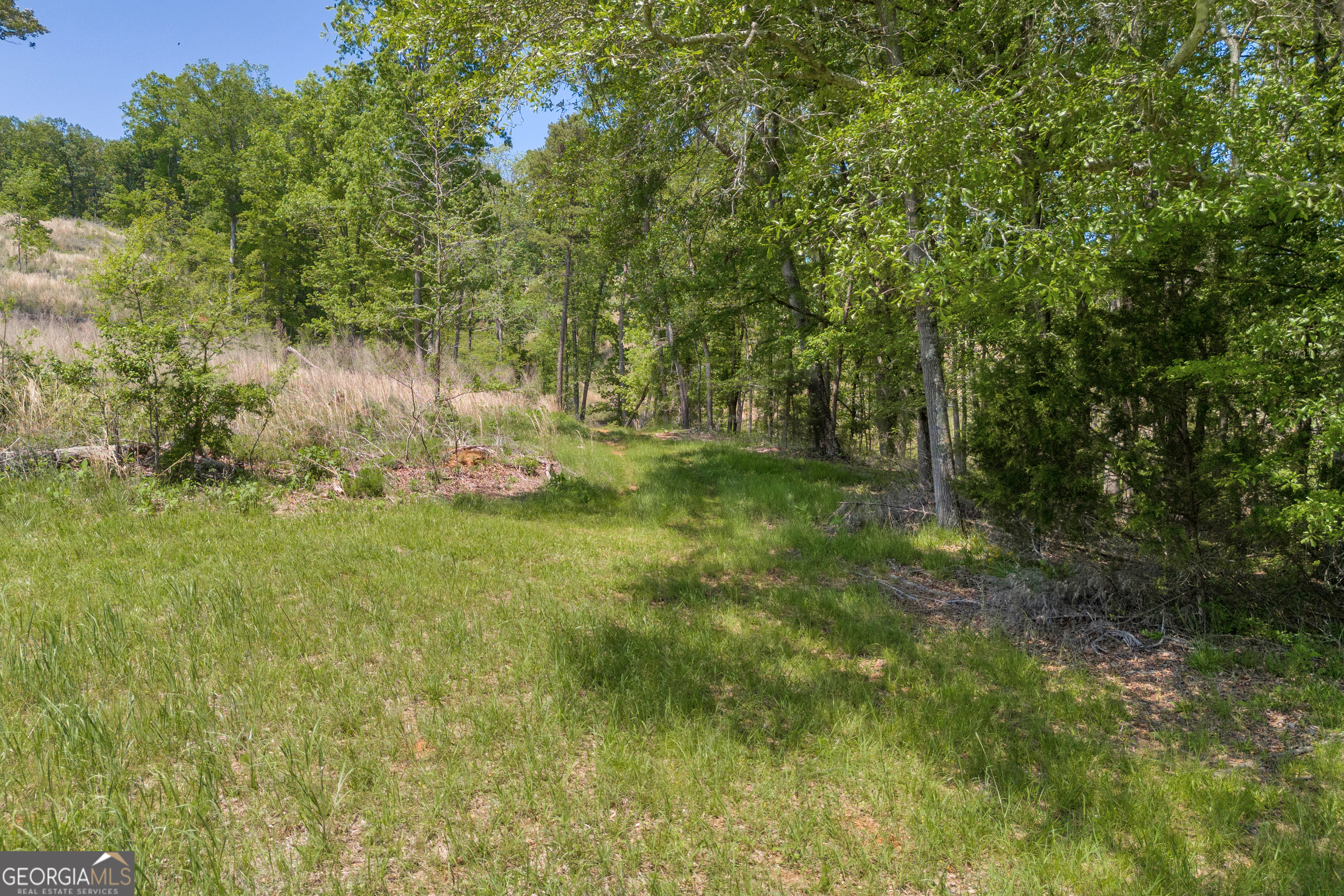 1745 Hannah Creek Church Road Royston, GA 30662 - Photo 13 of 60