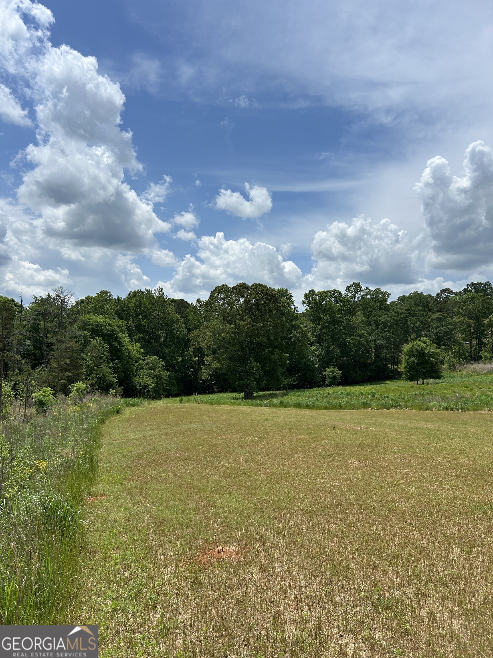 1745 Hannah Creek Church Road Royston, GA 30662 - Photo 15 of 60