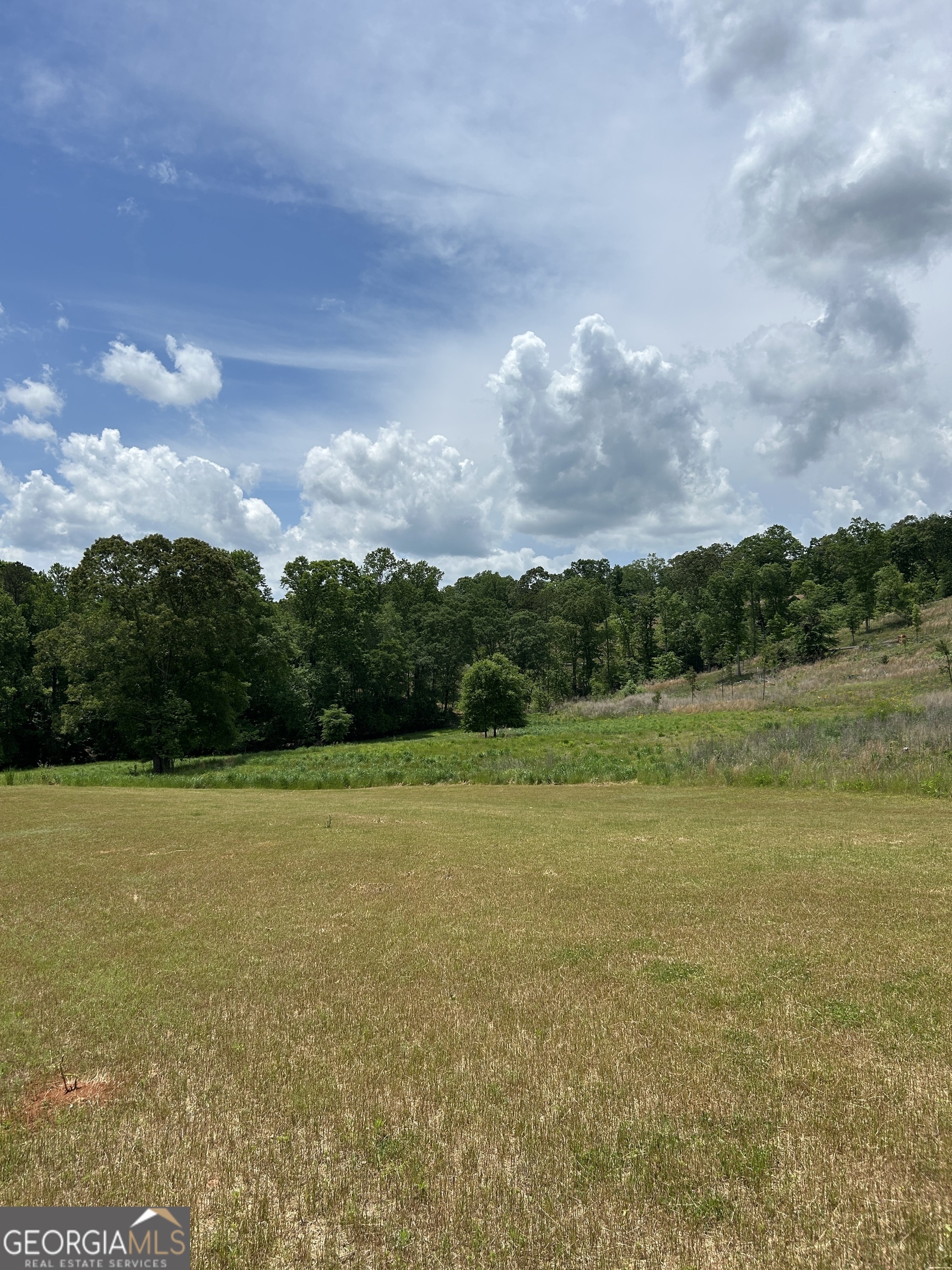 1745 Hannah Creek Church Road Royston, GA 30662 - Photo 16 of 60