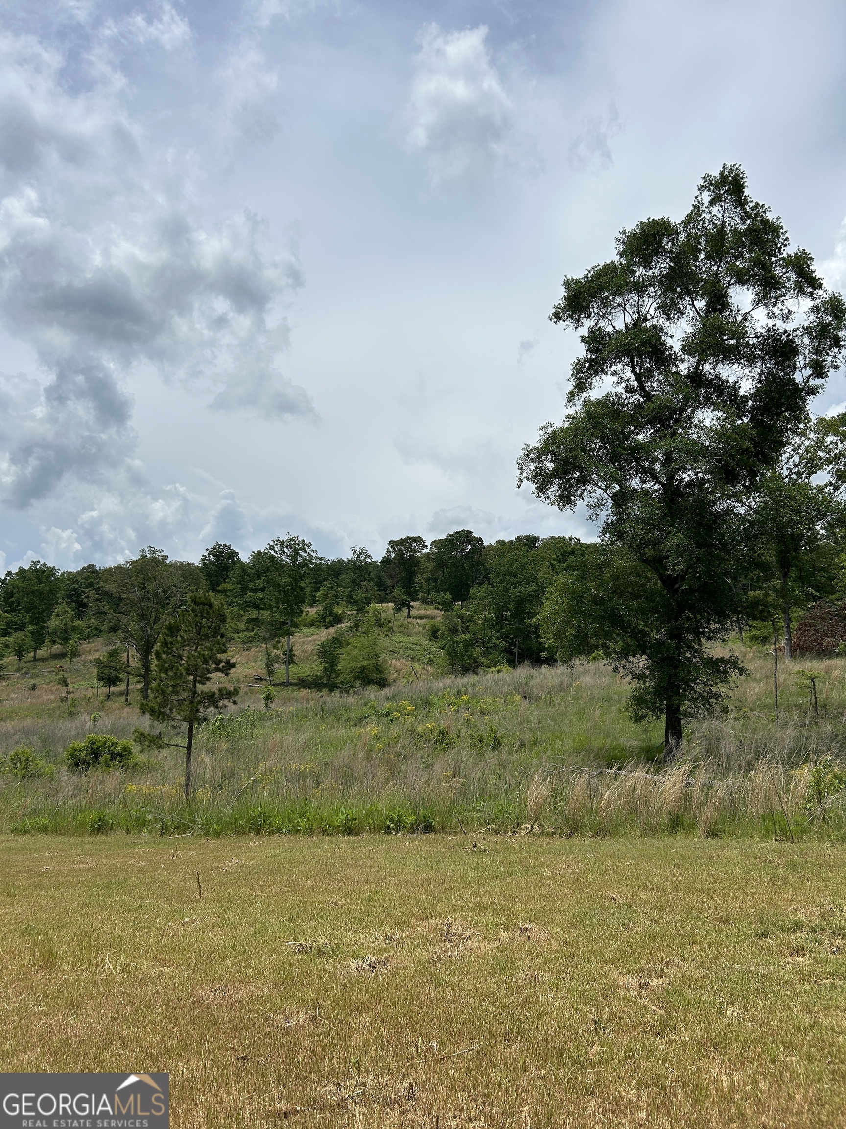 1745 Hannah Creek Church Road Royston, GA 30662 - Photo 18 of 60