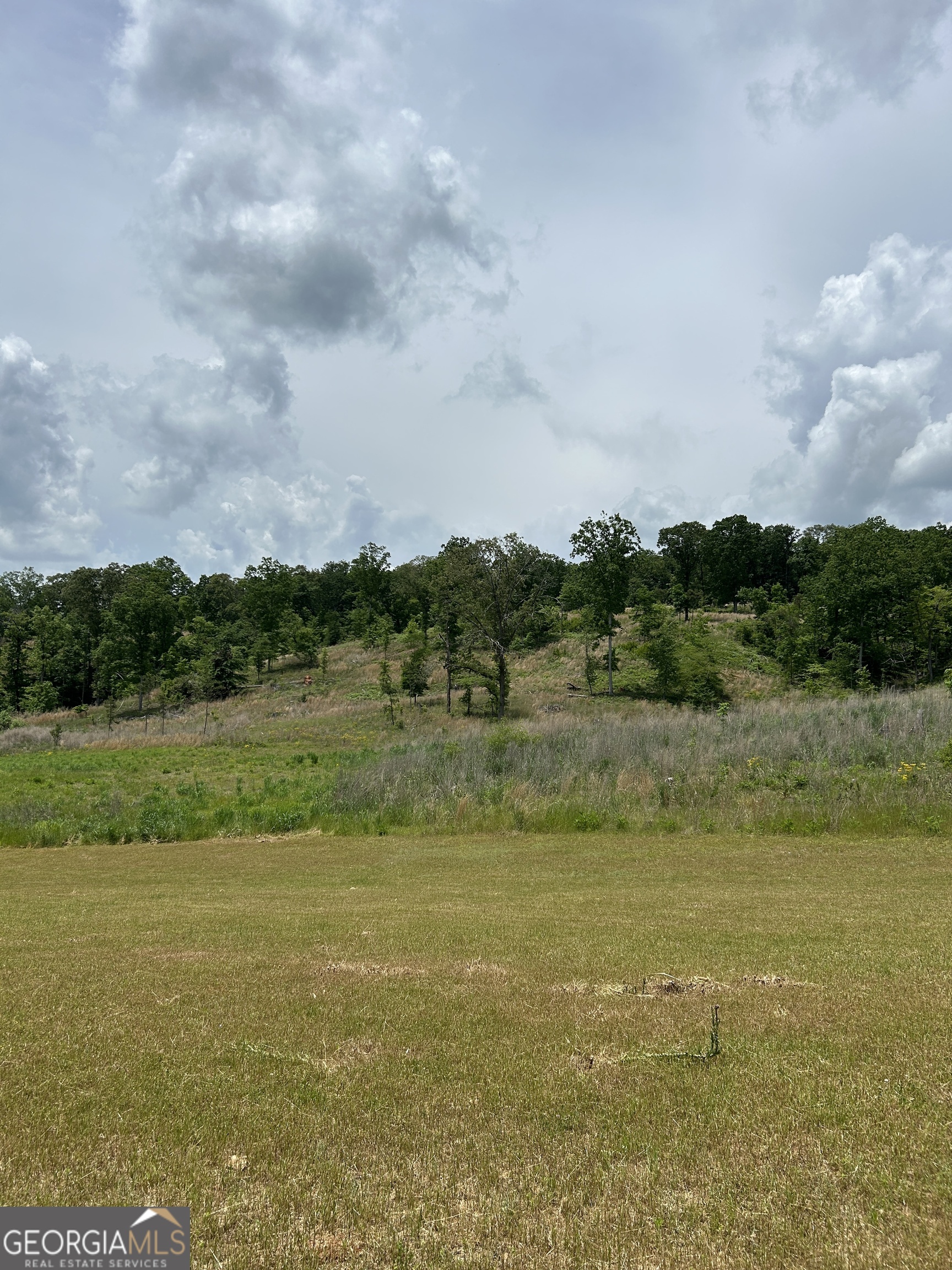 1745 Hannah Creek Church Road Royston, GA 30662 - Photo 19 of 60