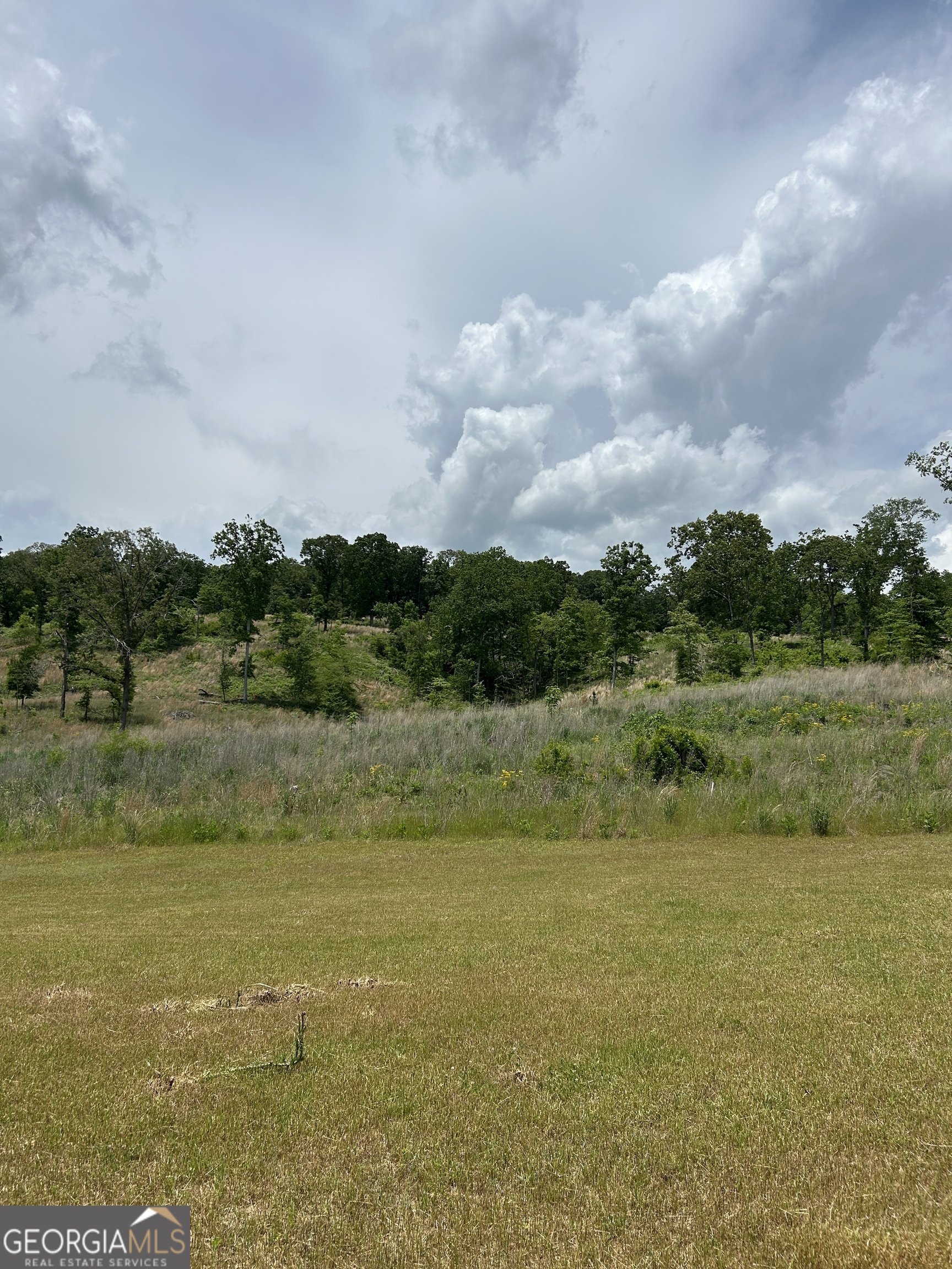 1745 Hannah Creek Church Road Royston, GA 30662 - Photo 20 of 60