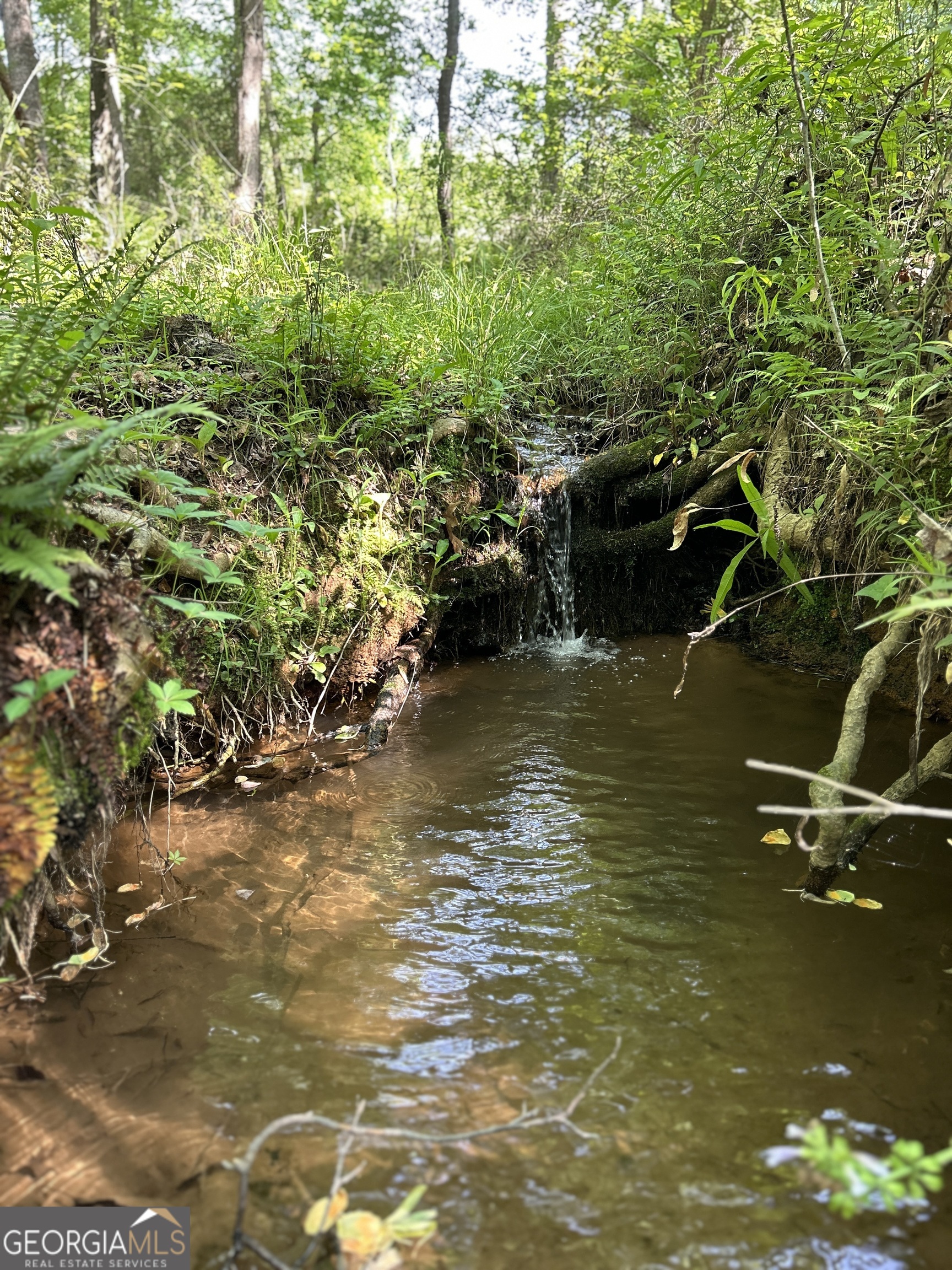 1745 Hannah Creek Church Road Royston, GA 30662 - Photo 21 of 60