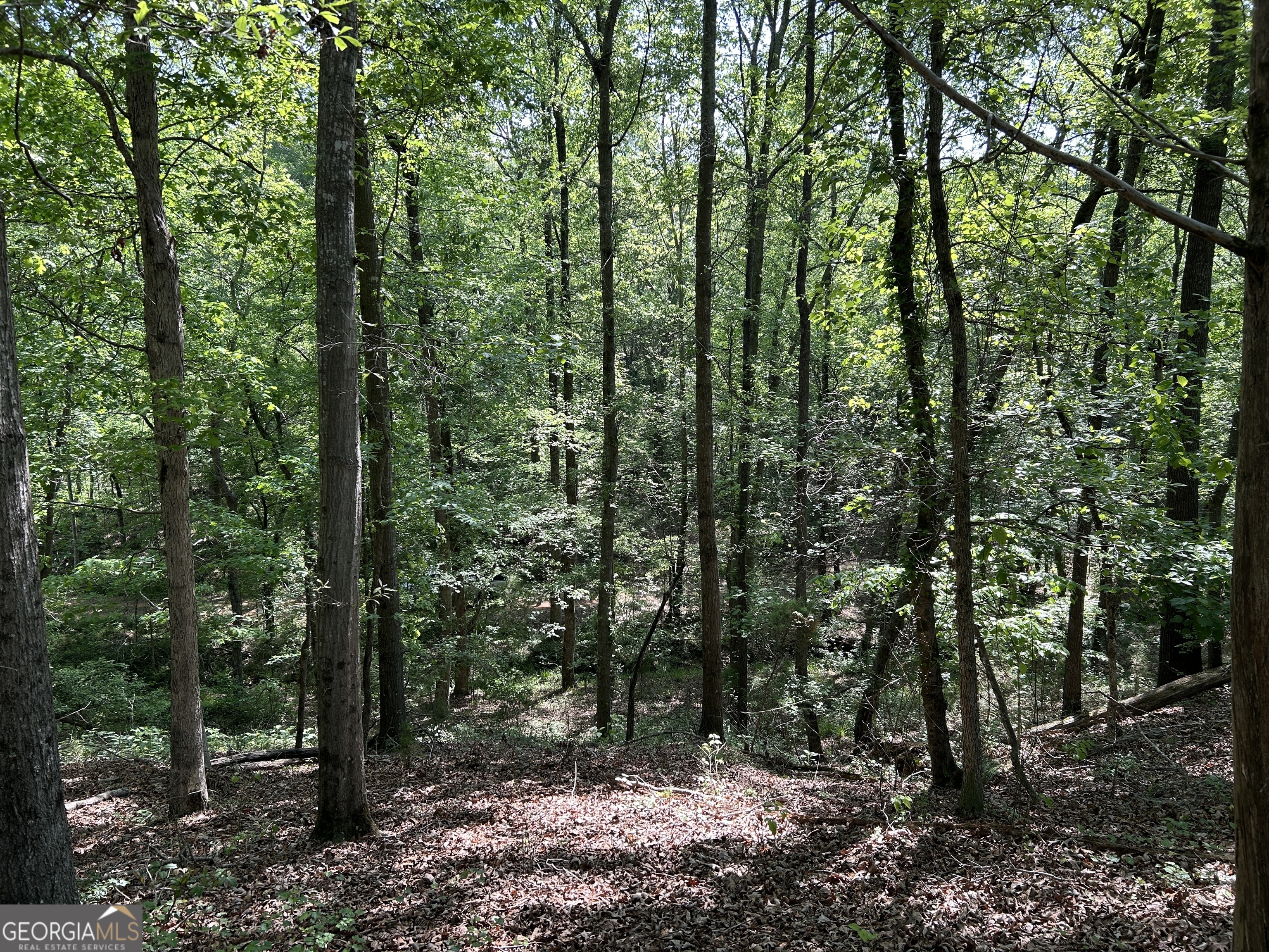 1745 Hannah Creek Church Road Royston, GA 30662 - Photo 22 of 60